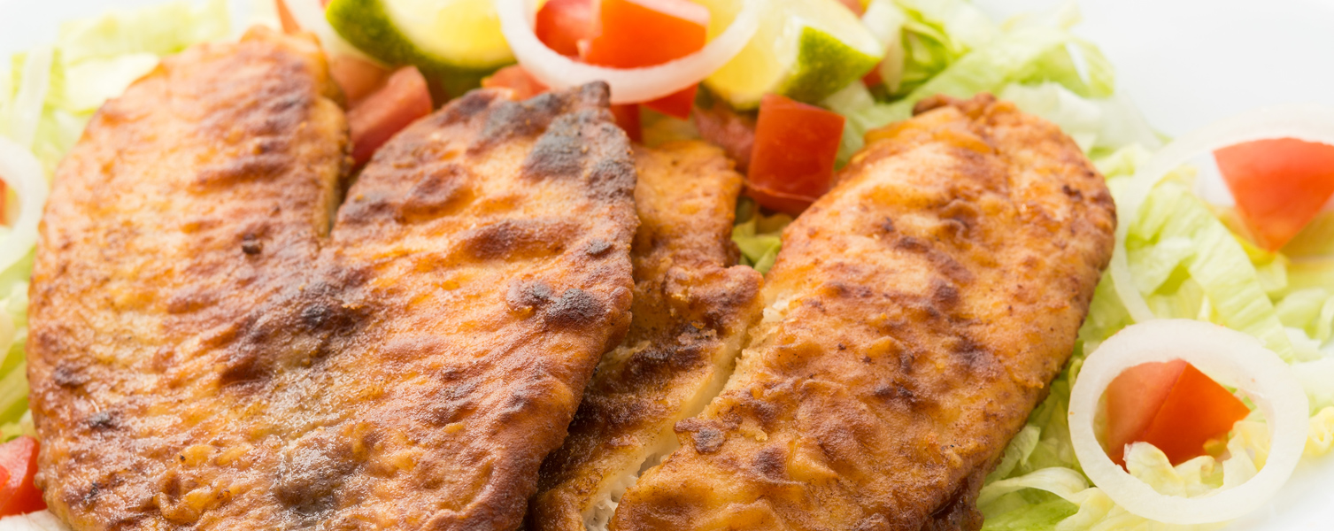 tilapia